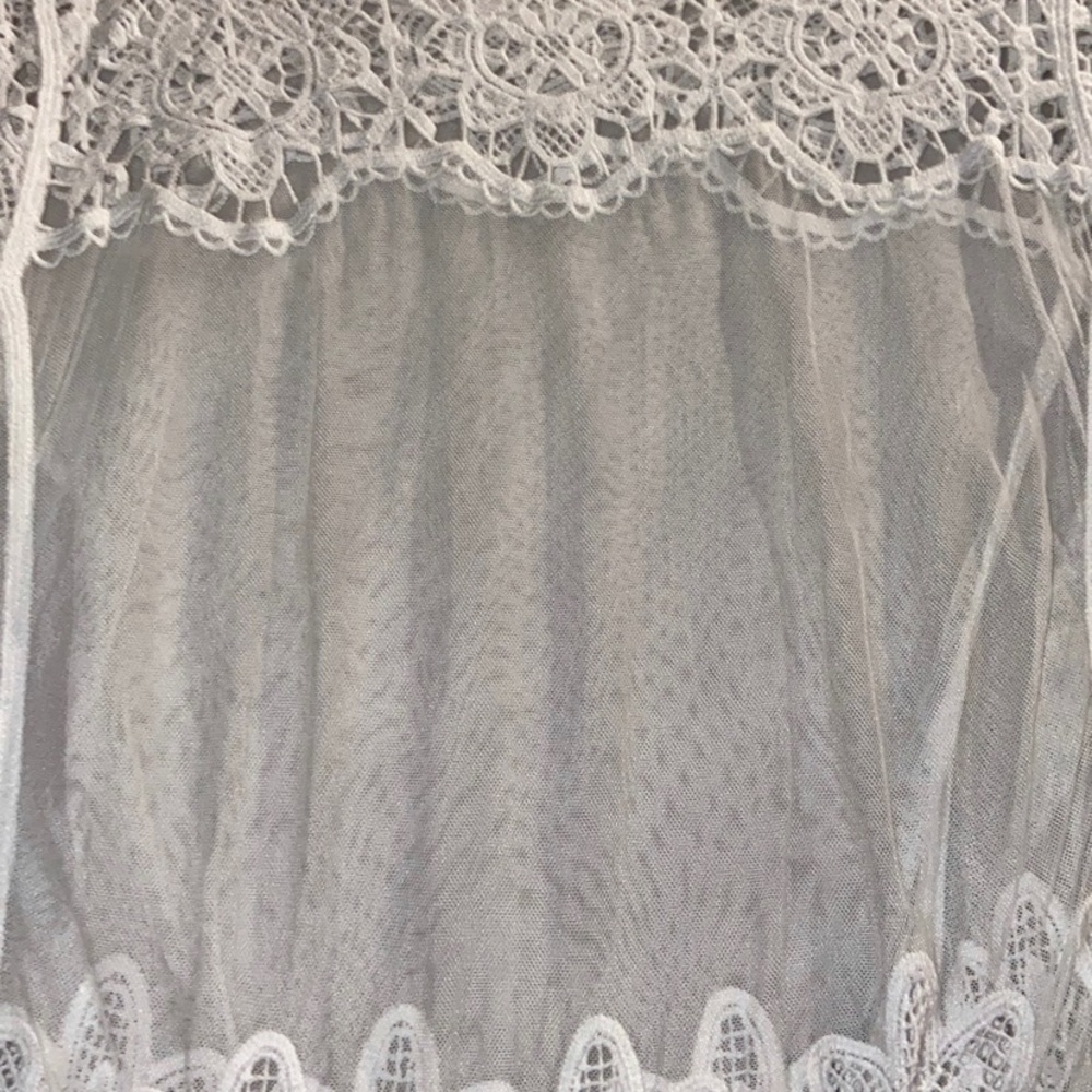 Ladies sheer top